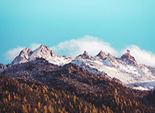 奇异果体育赛程-梅德维德夫迎总决赛生涯首胜 下手发球再现赛场